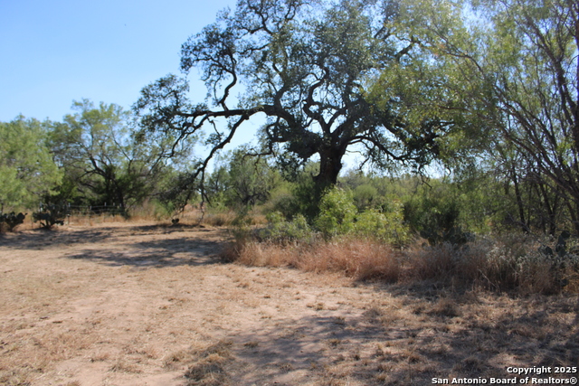 Listing photo id 9 for 12417 Fm 2779