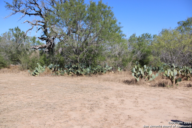 Listing photo id 13 for 12417 Fm 2779