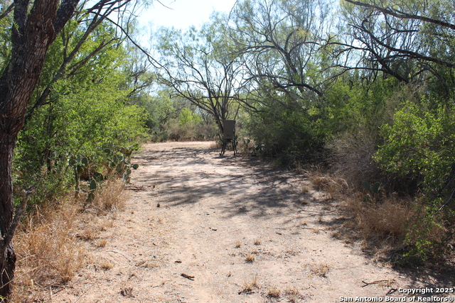 Listing photo id 16 for 12417 Fm 2779