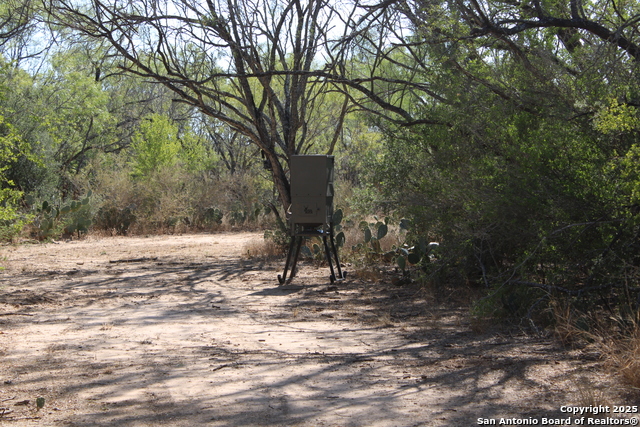 Listing photo id 17 for 12417 Fm 2779