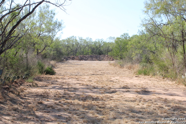 Listing photo id 19 for 12417 Fm 2779