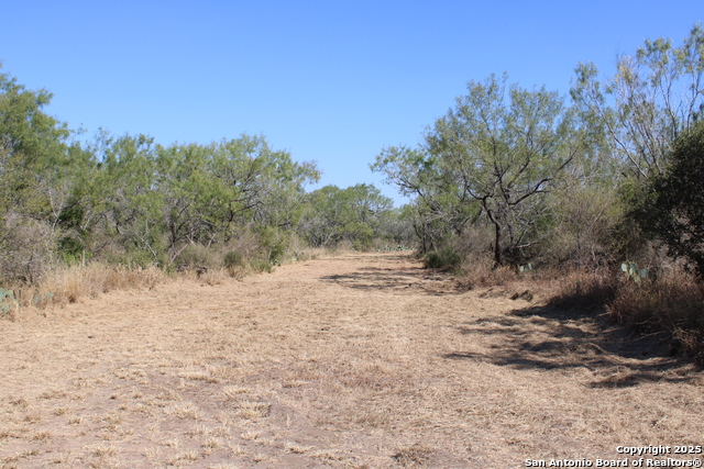 Listing photo id 24 for 12417 Fm 2779