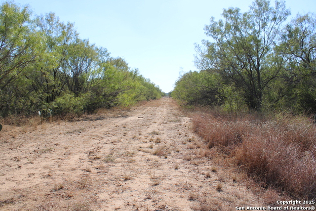 Listing photo id 26 for 12417 Fm 2779