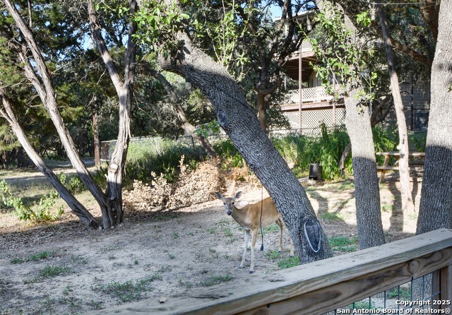 Listing photo id 22 for 1532 Hillcrest