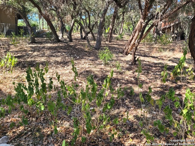 Listing photo id 27 for 1532 Hillcrest