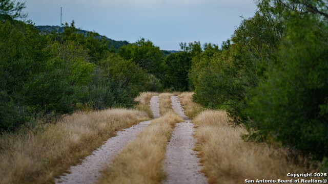 Listing photo id 10 for 123 Sd 65000