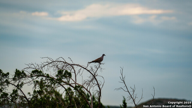 Listing photo id 14 for 123 Sd 65000