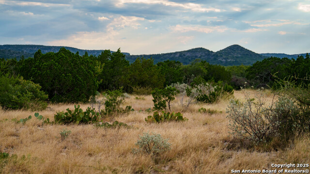 Listing photo id 5 for 123 Sd 65000