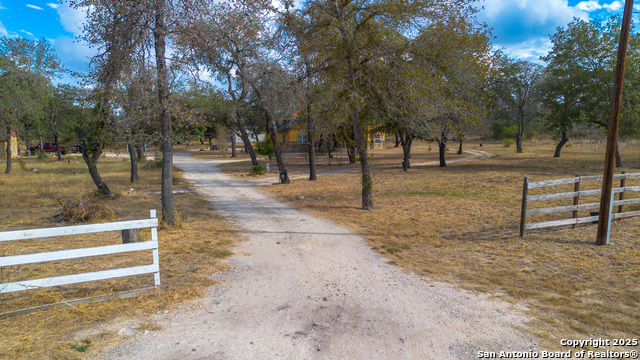 Image 49 of 50 For 102 Road Runner