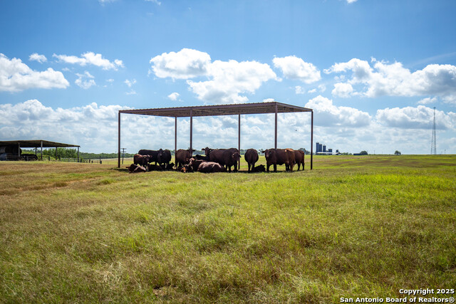 Image 31 of 49 For Tbd County Road 131