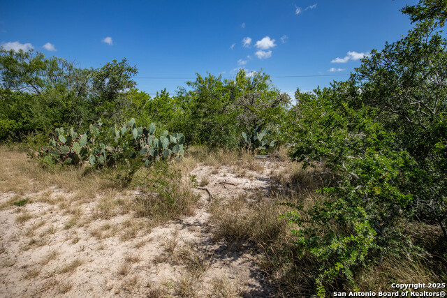 Image 36 of 49 For Tbd County Road 131