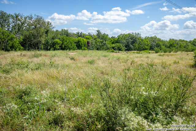 Image 37 of 49 For Tbd County Road 131