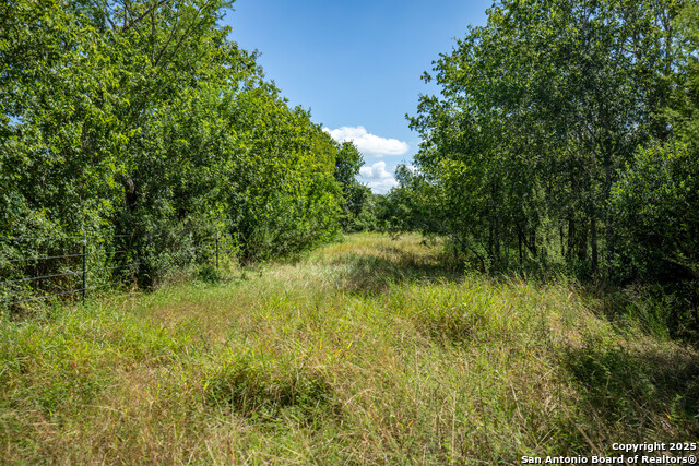 Image 38 of 49 For Tbd County Road 131