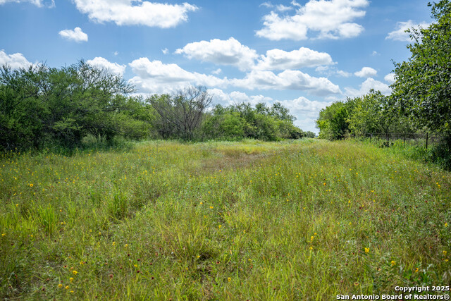 Image 39 of 49 For Tbd County Road 131