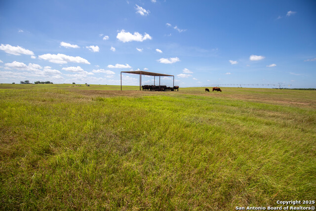 Image 43 of 49 For Tbd County Road 131