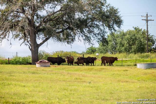 Image 46 of 49 For Tbd County Road 131