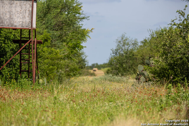 Image 48 of 49 For Tbd County Road 131