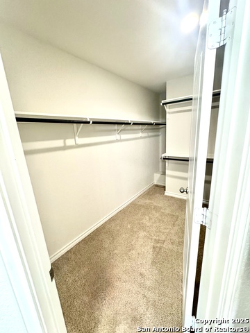 Image 16 of 20 For 2815 Thackery Grv