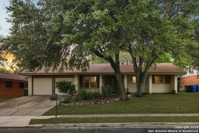 Image 2 of 29 For 11011 Burr Oak