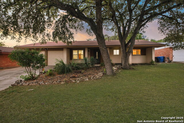 Image 3 of 29 For 11011 Burr Oak