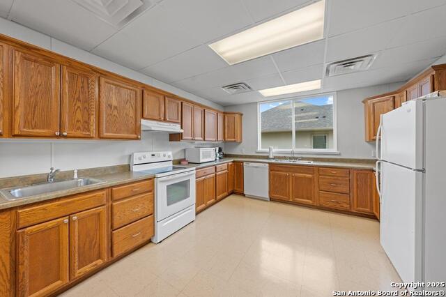 Listing photo id 37 for 2009 Athens Ave.