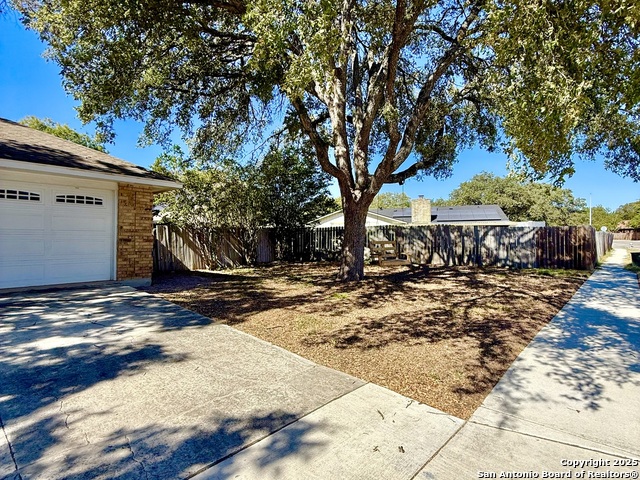 Image 24 of 28 For 12227 Budding