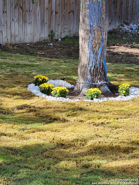 Image 17 of 24 For 253 Carroll Ave Sw