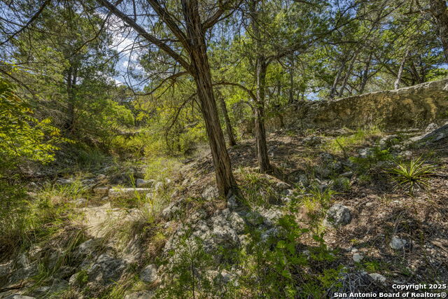 Image 66 of 105 For 305 Spanish Pass