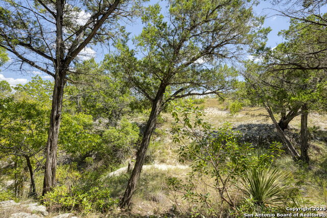 Image 71 of 105 For 305 Spanish Pass