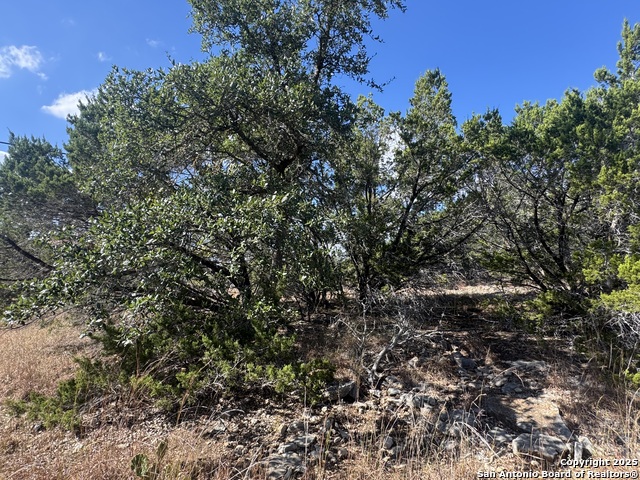 Details for 217 Breeze Pt, Fischer, TX 78623