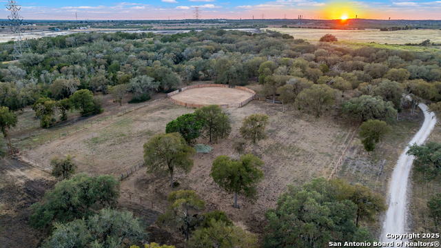 Image 59 of 60 For 0000 Marion