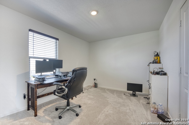 Image 11 of 31 For 312 Alligator