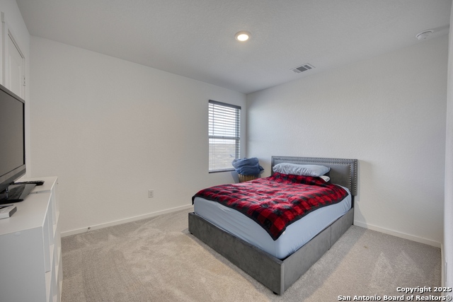 Image 12 of 31 For 312 Alligator