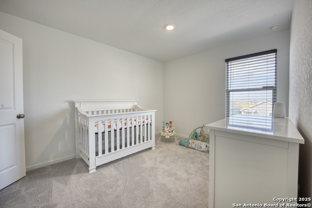 Image 13 of 31 For 312 Alligator