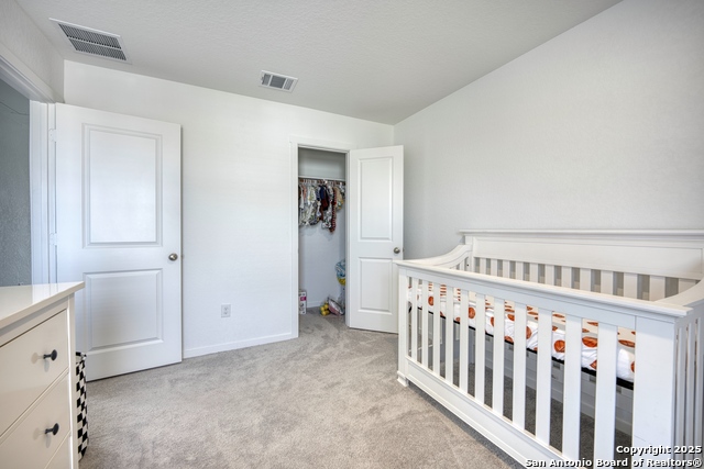 Image 14 of 31 For 312 Alligator