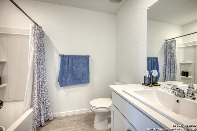 Image 15 of 31 For 312 Alligator