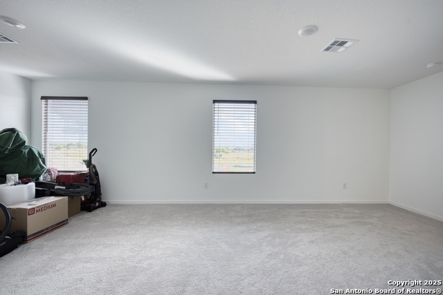 Image 16 of 31 For 312 Alligator