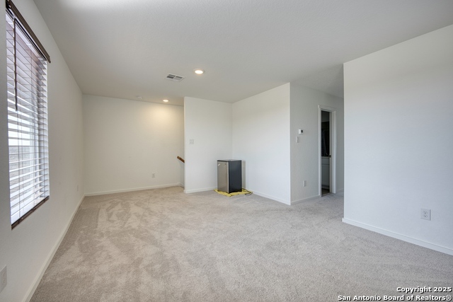 Image 17 of 31 For 312 Alligator