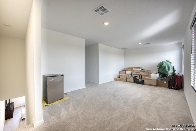 Image 18 of 31 For 312 Alligator