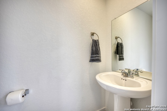 Image 19 of 31 For 312 Alligator