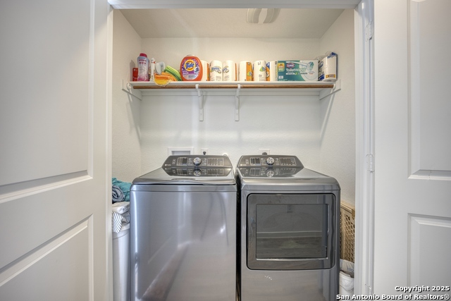 Image 20 of 31 For 312 Alligator