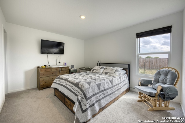 Image 21 of 31 For 312 Alligator