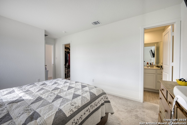 Image 22 of 31 For 312 Alligator