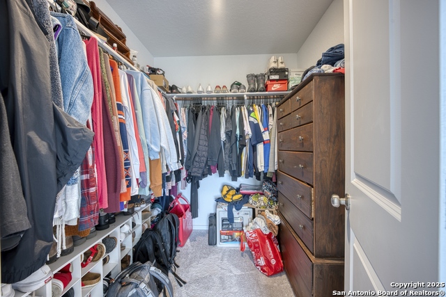 Image 24 of 31 For 312 Alligator