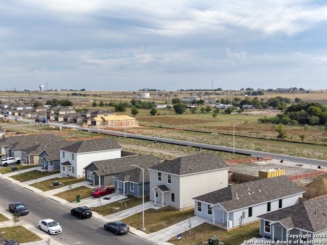 Image 26 of 31 For 312 Alligator