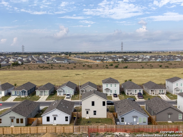 Image 27 of 31 For 312 Alligator