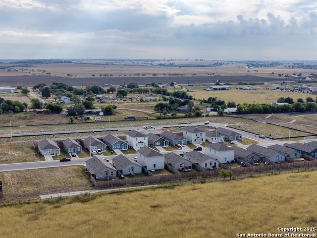 Image 29 of 31 For 312 Alligator