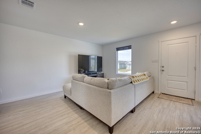 Image 7 of 31 For 312 Alligator