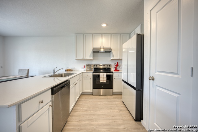 Image 9 of 31 For 312 Alligator