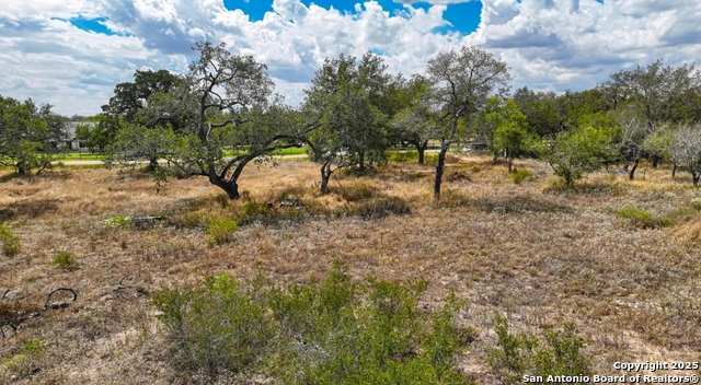 Image 10 of 12 For 205 Trophy Lane